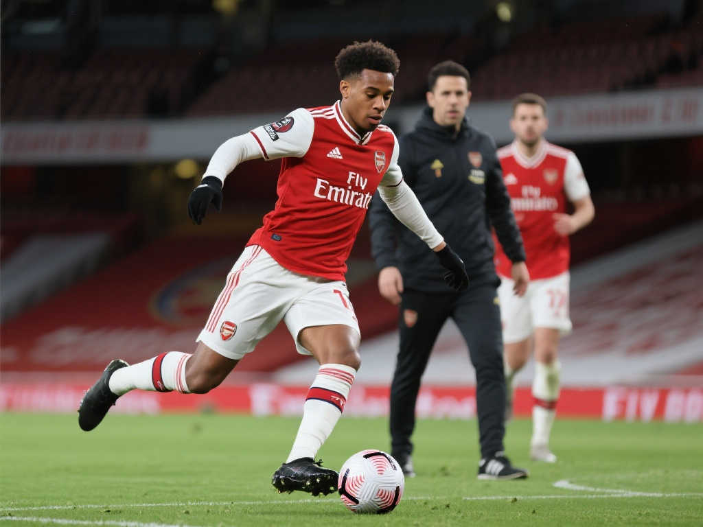 实用性的参 实用性的参