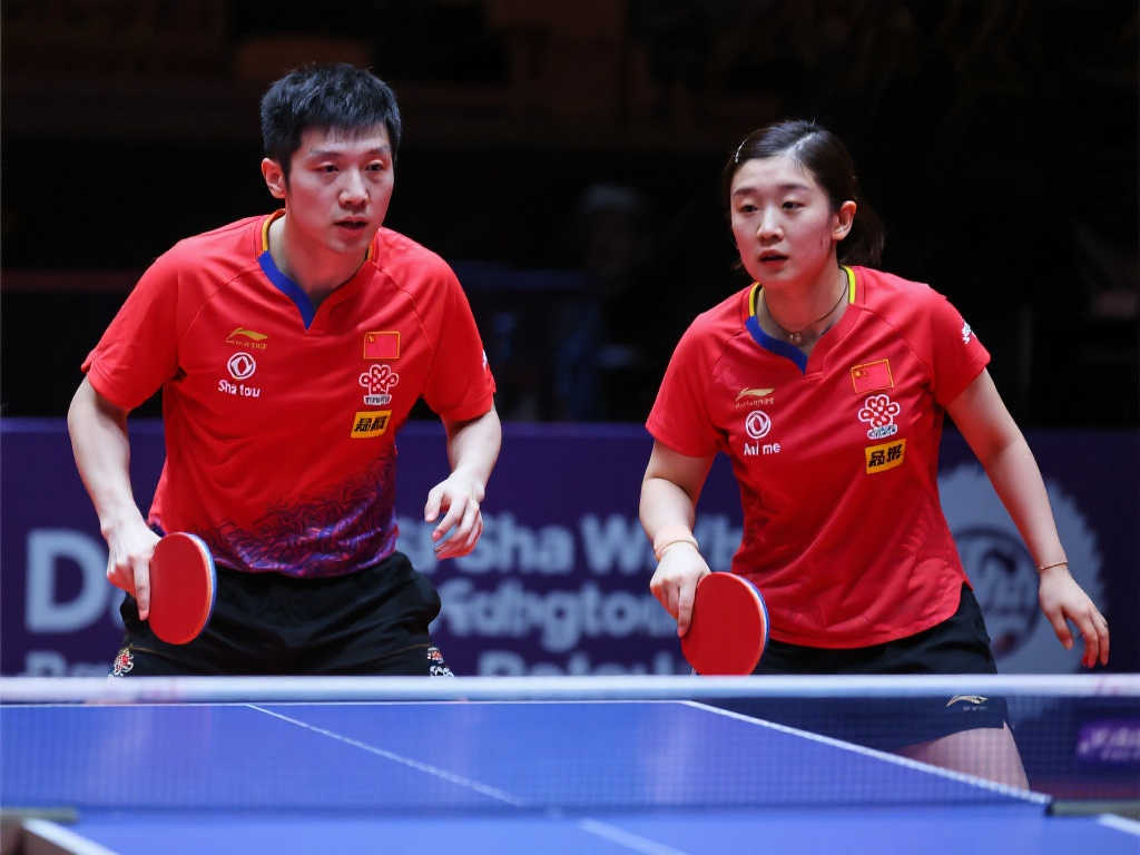 他们的快速 他们的快速