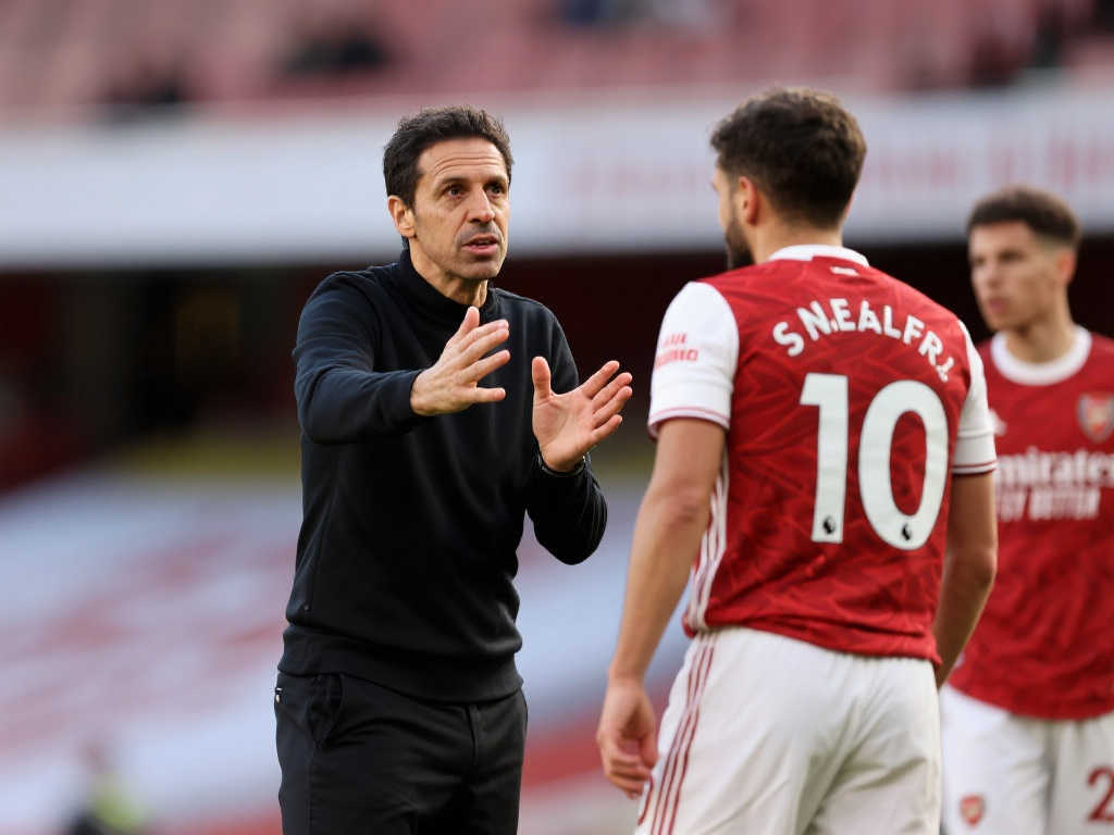 明泰的到来 明泰的到来