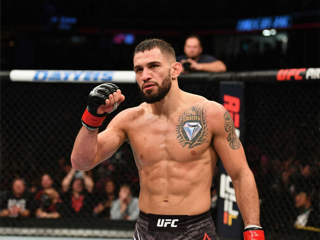 们不仅有 们不仅有