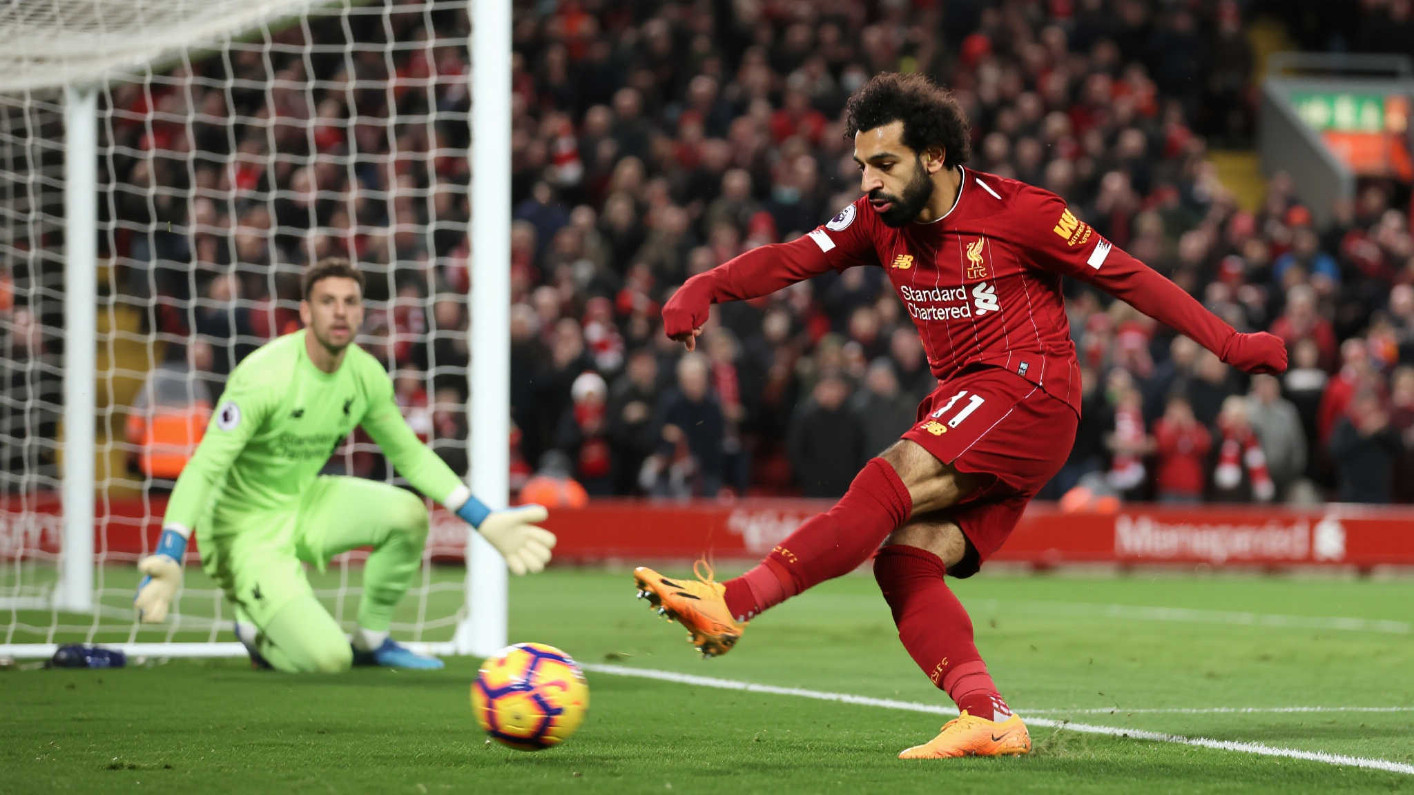 全面展示了 全面展示了